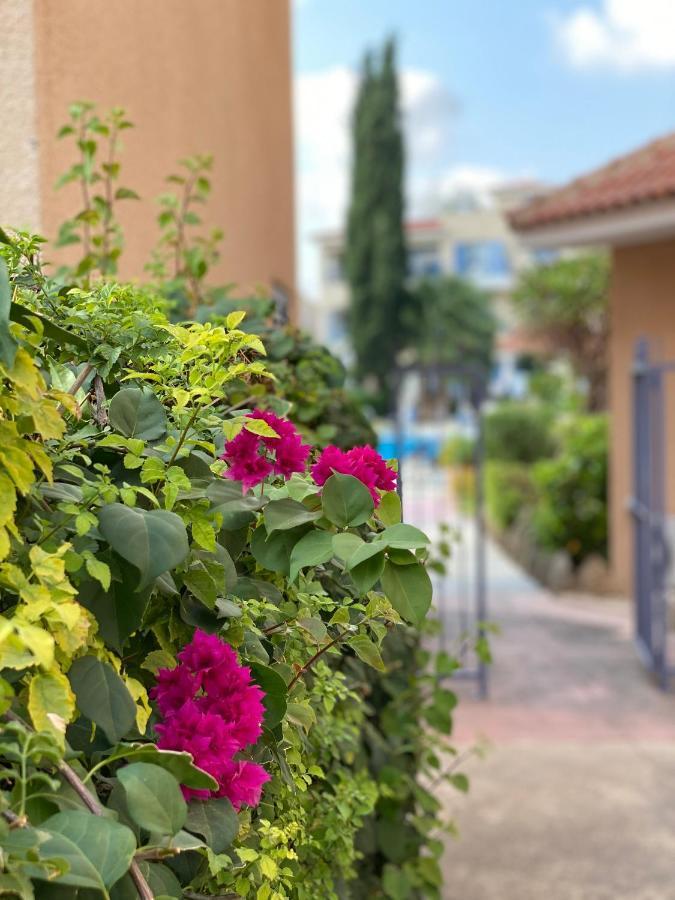 Paradise Gardens With A Large Terrace Paphos Exterior photo